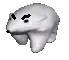 angrybear